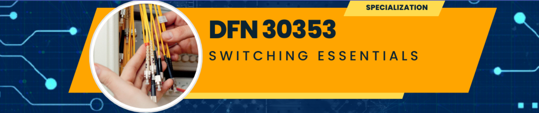 DFN30353 SWITCHING ESSENTIALS  SII : 2024/2025